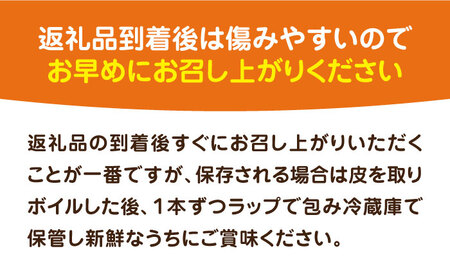 【先行予約受付　2026年6月頃より順次発送】【冷蔵配送】農家直送 朝どれ スイートコーン 白 黄 食べ比べ セット 約4kg （9～12本入り）《豊前市》【湯越農園】 野菜 コーン [VBC002] とうもろこし