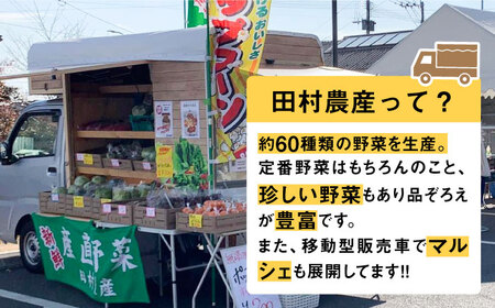 【先行予約】田村農産の白トウモロコシ 10～12本入り（2026年6月中旬以降順次発送） 【田村農産】《豊前市》野菜 とうもろこし [VBE001] スイートコーン