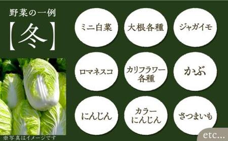 【全6回定期便】農家が選ぶ！ 旬の新鮮野菜セット《豊前市》【田村農産】産直 野菜 やさい 詰め合わせ [VBE009]