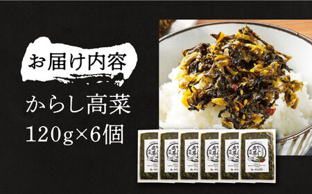 からし高菜120g×6個セット《豊前市》【株式会社瑞穂】 [VBG004]