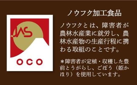 手づくり 牛すじ カレー 210g×2個 《豊前市》【瑞穂農園】 レトルトカレー カレーライス 牛肉 [VBG009]