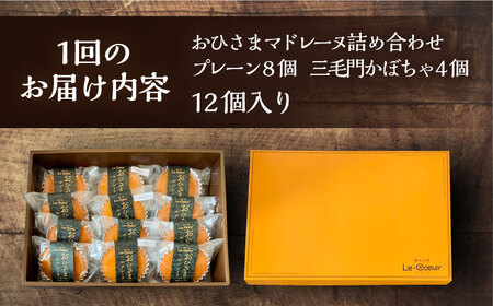 【全6回定期便】おひさまマドレーヌ12個詰め合わせ (おひさまマドレーヌ8個 三毛門かぼちゃマドレーヌ4個)《豊前市》【菓子工房ルクール】 お菓子 菓子 詰め合わせ 洋菓子 [VBI016]