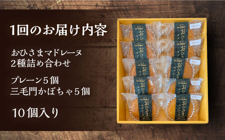 【全12回定期便】おひさまマドレーヌ 10個 詰め合わせ (おひさまマドレーヌ5個 三毛門かぼちゃマドレーヌ5個)《豊前市》【菓子工房ルクール】 お菓子 菓子 詰め合わせ 洋菓子 [VBI026]