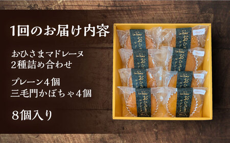 【全6回定期便】おひさまマドレーヌ8個詰め合わせ（プレーン・三毛門かぼちゃ各4）《豊前市》【菓子工房ルクール】 お菓子 菓子 詰め合わせ 洋菓子 マドレーヌ [VBI028]