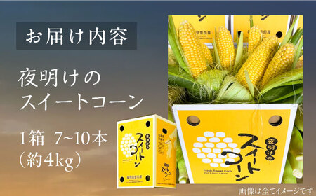 【先行予約】夜明けのスイートコーン 4kg×1箱 (7～10本) 【2026年6月以降順次発送】《豊前市》【アグリネックス】 とうもろこし コーン スイートコーン 14000円 [VCO001]