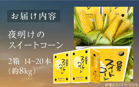 【先行予約】夜明けのスイートコーン 4kg×2箱 (14～20本) 【2026年6月以降順次発送】《豊前市》【アグリネックス】 とうもろこし コーン スイートコーン 20000円 [VCO002]