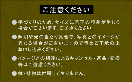 1点モノ 鉢台 H《豊前市》【CIRCLE TIGER 9999】インテリア 植物 グリーン 室内 観葉植物 [VCS008]