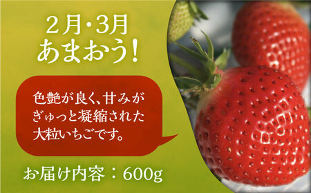【全6回定期便】フルーツ定期便 《豊前市》【山田農場 フルーツランド】 果物 くだもの フルーツ [VCY016]