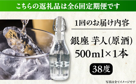 【全6回定期便】芋焼酎 銀座芋人 （原酒）　500ml（38度）《豊前市》【後藤酒造合資会社】 焼酎 酒 いも焼酎 [VDA010]
