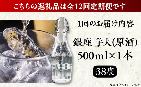 【全12回定期便】芋焼酎 銀座芋人 （原酒）　500ml（38度）《豊前市》【後藤酒造合資会社】 焼酎 酒 いも焼酎 [VDA011]