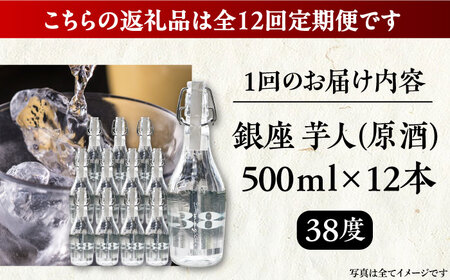 【全12回定期便】芋焼酎 銀座芋人 （原酒）　500ml×12本（38度）《豊前市》【後藤酒造合資会社】 焼酎 酒 いも焼酎 [VDA023]