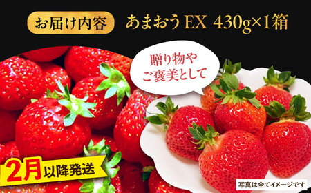 【2月以降発送】贈答用 あまおう 430g以上×1箱 エクセレント  《豊前市》【山口農園】果物 いちご イチゴ 苺 [VDE004]
