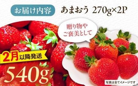 【2月以降発送】あまおう 540g (270g以上×2P) 《豊前市》【山口農園】果物 いちご イチゴ 苺 [VDE006]