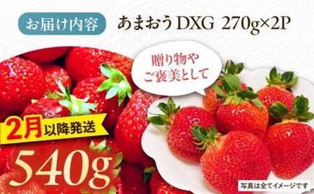 【2月以降発送】あまおう DXG 540g (270g以上×2P) 《豊前市》【山口農園】果物 いちご イチゴ 苺 [VDE008]