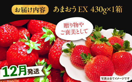 【12月発送】 あまおう 贈答用 エクセレント 430g以上×1箱 《豊前市》【山口農園】果物 いちご [VDE010]