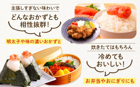 【先行予約】夢つくし 10kg 【令和7年9月以降新米発送】《豊前市》 【山口農園】米 精米 白米 [VDE015]