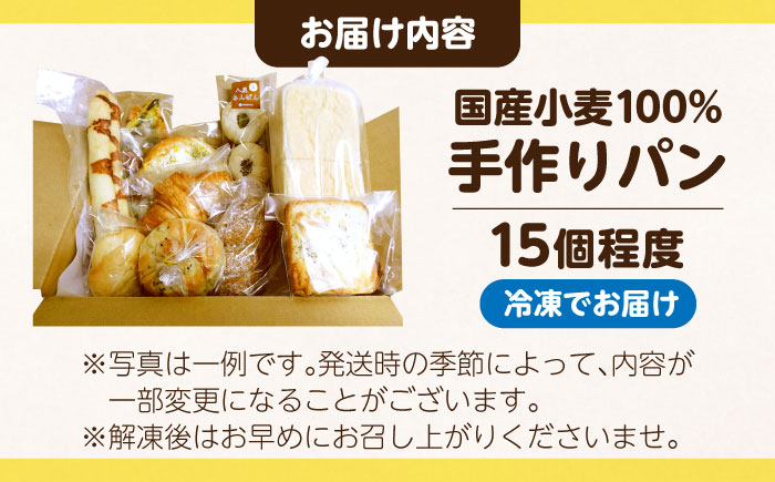 ビッグパン人気商品 詰め合わせ（冷凍便） ≪豊前市≫【ビッグパン】 パン ぱん 小麦 国産 [VEA001]