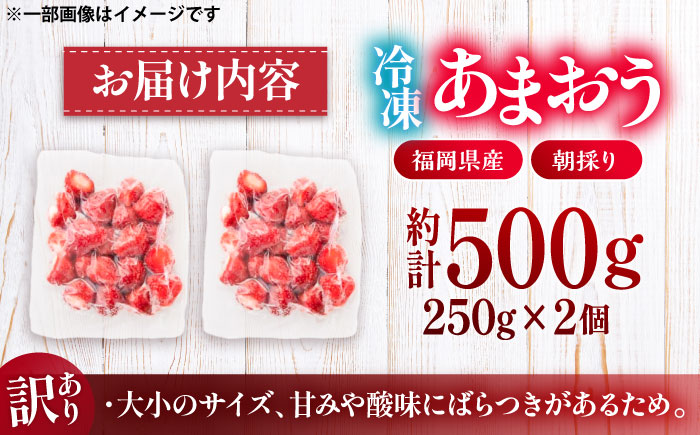 【訳あり】福岡県産 冷凍あまおう500g(250g×2個)　《豊前市》【株式会社木村食品】いちご 苺 イチゴ 取り寄せ [VEG011]