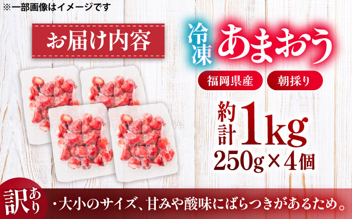 【訳あり】福岡県産 冷凍あまおう 1kg (250g×4個) 《豊前市》【株式会社木村食品】 いちご 苺 イチゴ 取り寄せ [VEG012]