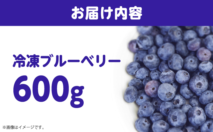 冷凍ブルーベリー 600g 《豊前市》【OH YEAH!農園】 ブルーベリー 果物 フルーツ 冷凍ブルーベリー [VER002]