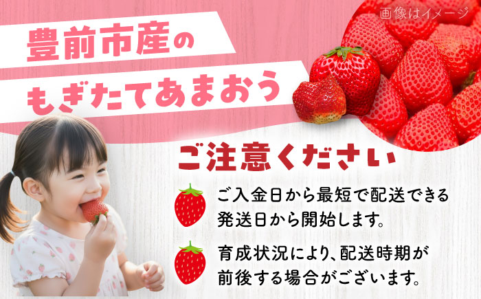 【全2回定期便】あまおう2種食べ比べ返礼品 4万円コース 《豊前市》【豊前市定期便】 [VZZ026]