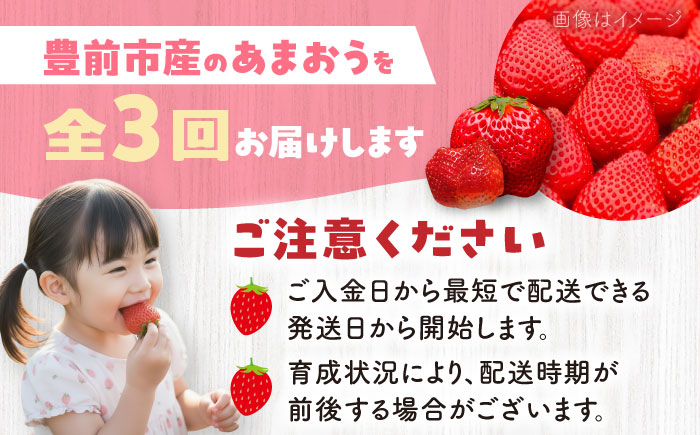 【全3回定期便】あまおう3種食べ比べ返礼品 5万円コース 《豊前市》【豊前市定期便】 [VZZ027]