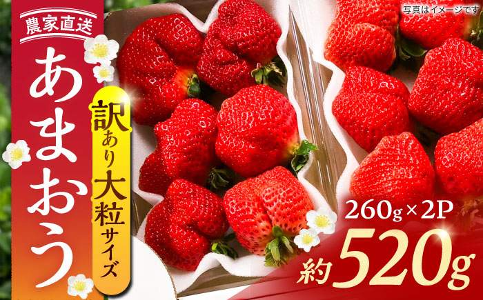 【先行予約】【1~4月発送】農家直送　大玉規格　特大大粒あまおう　《豊前》　【内藤農園】 [VAB023]