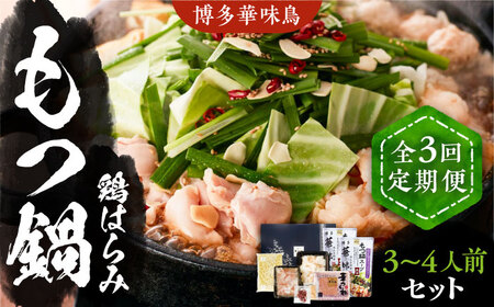 【全3回定期便】博多華味鳥 博多もつ鍋 鶏はらみ セット 3~4人前 《豊前市》【トリゼンフーズ】博多 福岡 鍋 鶏 もつ もつ鍋 [VAC015]