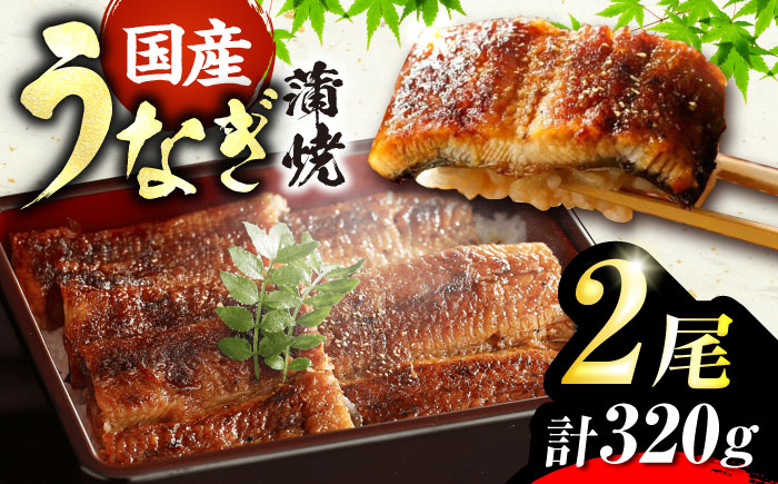 福岡県産 うなぎ 蒲焼 大2尾 合計 320 g（1尾あたり 160g以上）《豊前市》【福岡養鰻】 国産 うなぎ 大 [VAD002]