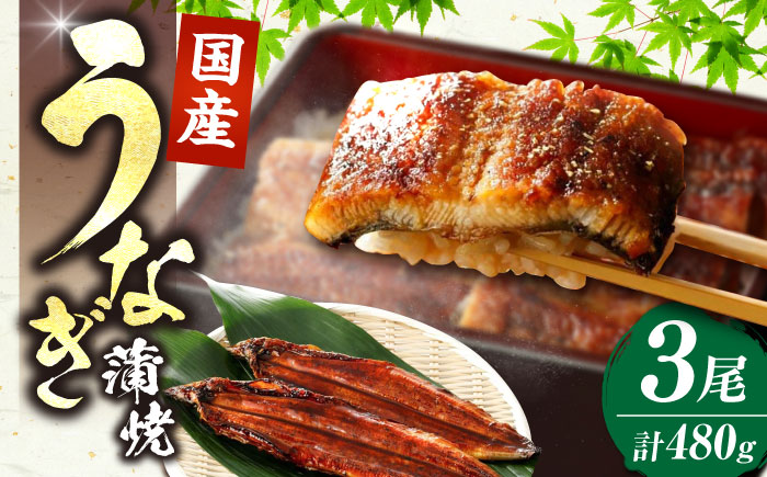 福岡県産 うなぎ 蒲焼 大3尾 合計 480 g（1尾あたり 160g以上）《豊前市》【福岡養鰻】 国産 うなぎ 大 [VAD003]