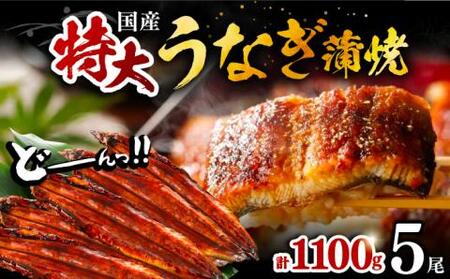 福岡県産 うなぎ 蒲焼 特大 5尾 合計 1,100 g（1尾あたり 220g以上）《豊前市》【福岡養鰻】 国産 うなぎ 特大 [VAD006]