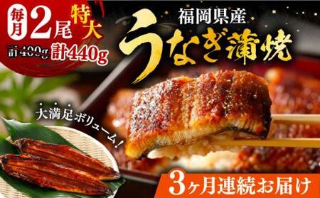 【全3回定期便】福岡県産 うなぎ 蒲焼 特大 2尾 合計 440 g（1尾あたり 220g以上）《豊前市》【福岡養鰻】 国産 うなぎ 特大 [VAD008]