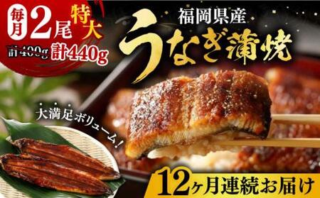 【全12回定期便】福岡県産 うなぎ 蒲焼 特大 2尾 合計 440 g（1尾あたり 220g以上）《豊前市》【福岡養鰻】 国産 うなぎ 特大 [VAD010]