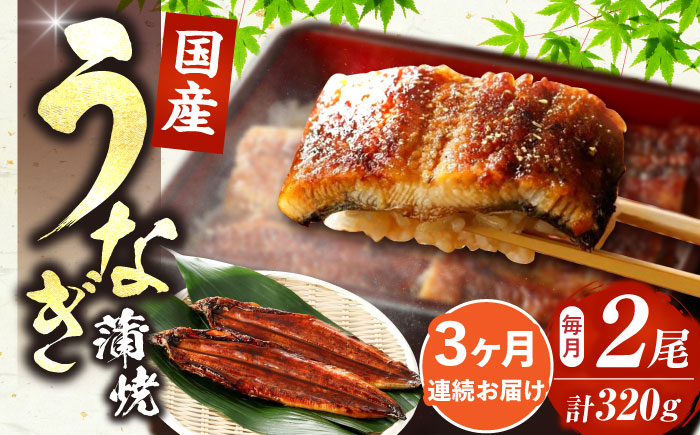 【全3回定期便】福岡県産 うなぎ 蒲焼 大2尾　合計 320 g（1尾あたり 160g以上）《豊前市》【福岡養鰻】 国産 うなぎ 大 [VAD011]