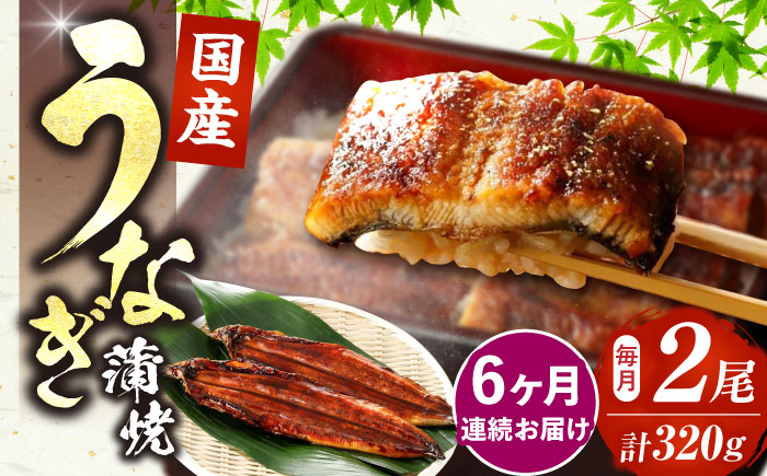 【全6回定期便】福岡県産 うなぎ 蒲焼 大2尾　合計 320 g（1尾あたり 160g以上）《豊前市》【福岡養鰻】 国産 うなぎ 大 [VAD012]