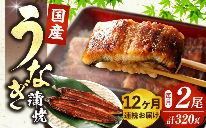 【全12回定期便】福岡県産 うなぎ 蒲焼 大2尾　合計 320 g（1尾あたり 160g以上）《豊前市》【福岡養鰻】 国産 うなぎ 大 [VAD013]