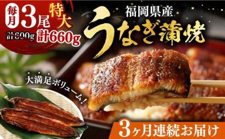 【全3回定期便】福岡県産 うなぎ 蒲焼 特大 3尾 合計 660 g（1尾あたり 220g以上）《豊前市》【福岡養鰻】 国産 うなぎ 特大 [VAD020]