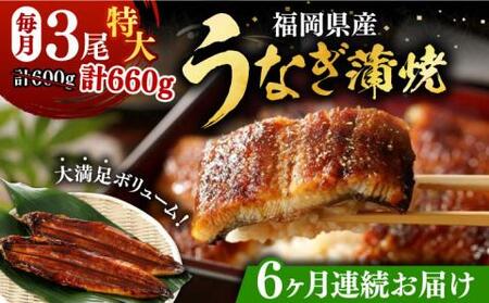 【全6回定期便】福岡県産 うなぎ 蒲焼 特大 3尾 合計 660 g（1尾あたり 220g以上）《豊前市》【福岡養鰻】 国産 うなぎ 特大 [VAD021]