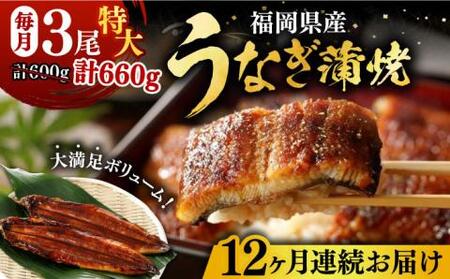 【全12回定期便】福岡県産 うなぎ 蒲焼 特大 3尾 合計 660 g（1尾あたり 220g以上）《豊前市》【福岡養鰻】 国産 うなぎ 特大 [VAD022]