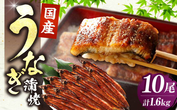 福岡県産 うなぎ 蒲焼 大 10尾　計1,600g（1尾あたり 160g以上）《豊前市》【福岡養鰻】 国産 鰻 ウナギ 蒲焼き [VAD026]