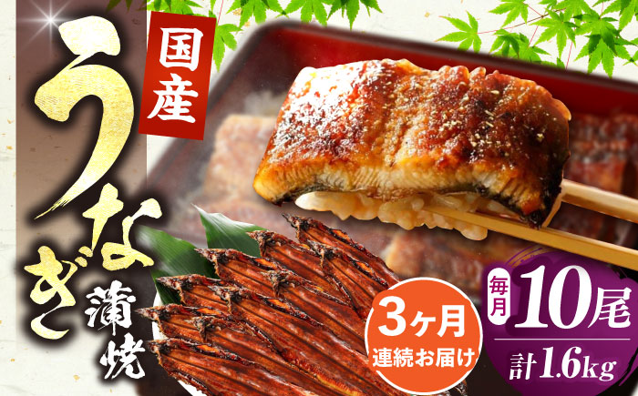 【全3回定期便】福岡県産 うなぎ 蒲焼 大 10尾　計1,600g（1尾あたり 160g以上）《豊前市》【福岡養鰻】 国産 鰻 ウナギ 蒲焼き [VAD027]