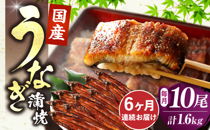 【全6回定期便】福岡県産 うなぎ 蒲焼 大 10尾　計1,600g（1尾あたり 160g以上）《豊前市》【福岡養鰻】 国産 鰻 ウナギ 蒲焼き [VAD028]