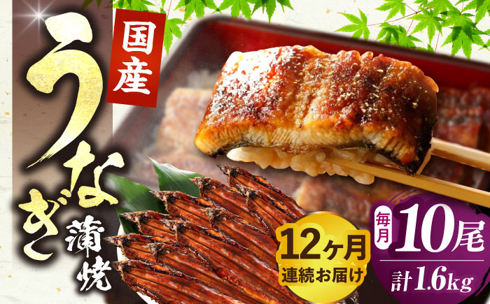 【全12回定期便】福岡県産 うなぎ 蒲焼 大 10尾　計1,600g（1尾あたり 160g以上）《豊前市》【福岡養鰻】 国産 鰻 ウナギ 蒲焼き [VAD029]