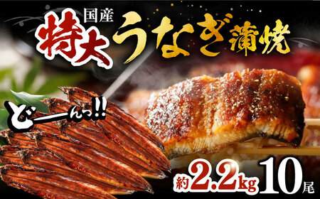 福岡県産 うなぎ 蒲焼 特大 10尾 計2,200g（1尾あたり 220g以上）《豊前市》【福岡養鰻】 国産 鰻 ウナギ 蒲焼き [VAD030]
