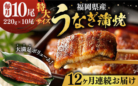 【全12回定期便】福岡県産 うなぎ 蒲焼 特大 10尾 計2,200g（1尾あたり 220g以上）《豊前市》【福岡養鰻】 国産 鰻 ウナギ 蒲焼き [VAD033]