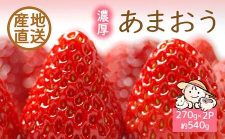 【2026年1月下旬より順次発送】ココロファーム の 濃厚あまおう 270g ×2P 540g以上《豊前市》【ココロファーム】[VAE019] 苺 いちご あまおう 福岡県産 先行予約
