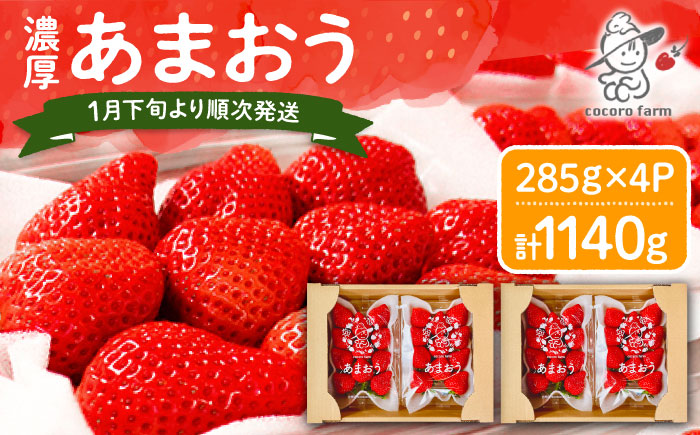 【2026年1月下旬～4月中旬発送】ココロファーム の 濃厚あまおう 285g × 4P 約1,140g [先行予約] 《豊前市》[VAE022] ※北海道・沖縄・離島 配送不可