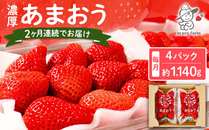 【2回定期便】【2025年12月から配送】ココロファームの濃厚あまおう 285g×4P 約1140g 《豊前市》【ココロファーム】 [VAE034]