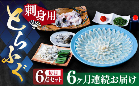【全6回定期便】国産活本ふぐ（とらふぐ）の刺身 《もり多》【豊前市】 とらふぐ ふぐ [VAF048]