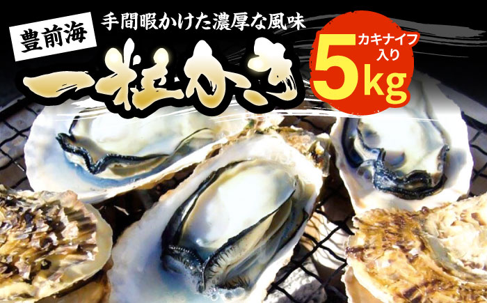 【先行予約】豊前海一粒かき 5kg  【2026年1月中旬以降順次発送】  《豊前市》【豊築漁業協同組合】 牡蠣 カキ かき 牡蛎 [VAG010]